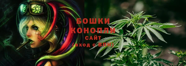 соль ск Ладушкин